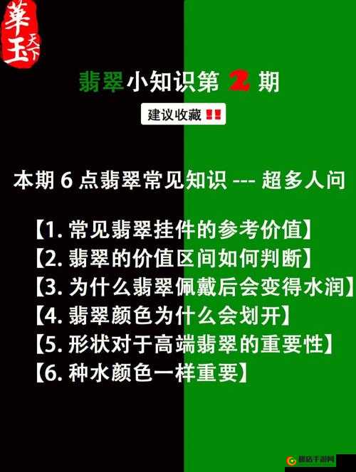 细节决定成败 新手成长之路不可或缺的必备攻略指南